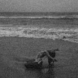 Українська музика🕊