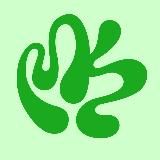 МОРСКАЯ КАПУСТА