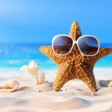 МоРе ХаЛяВы!!!💰💰