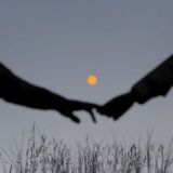 🌒 𝐌𝐎𝐎𝐍𝐋𝐈𝐆𝐇𝐓 🌒