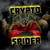 Crypto Spider 🕷