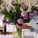 Львица-инженерица