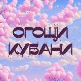 огощи надулись/самонадулись
