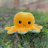 ЗАКУЛИСЬЕ KГИМС