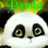 🐼🌿🐼P🅐🅝🅓🅐🅒🅗🅐_27 🐼🌿🐼