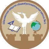 Шаховская школа №1