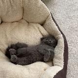 запросики пвс ! ! 🤍