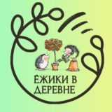 ёжики в деревне