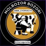 Buxoro chorva bozori Molbozori buqalar