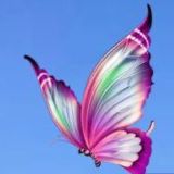 Hashimoto Alternativ und Ganzheitlich, Kanal