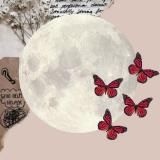 айвин's home 🍓🍃