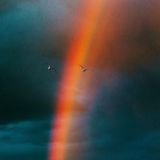 𝙋𝙞𝙘𝙡𝙖𝙥𝙃𝘿