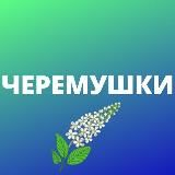 Черемушки и Коньково • TGMsk