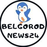 Белгород 24 | Главные новости