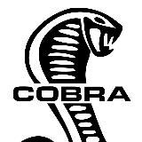 MMA Cobra