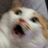 某小学生的破事水日常