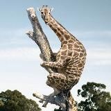 Вот это шутейка | Смешное видео | Юмор | Приколы