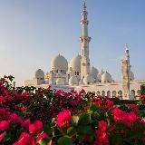 𝓕𝓲𝔂𝓼𝓪𝓫𝓲𝓵𝓲𝓵𝓵𝓪𝓱 ✨