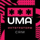 Интеграторы CRM. Чат