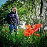 ⚜ NordseeHeiler ⚜ - das Original -