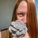 Helly_blog_succulents