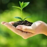 APRENDE SOBRE PLANTAS🪴