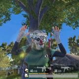 Кибитка Спарки