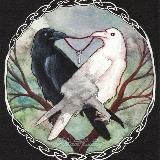 Будни 10-го аркана