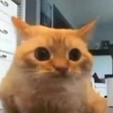 🥧☃️Soty World☃️🥧