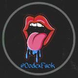 خبرگزاری کدکس