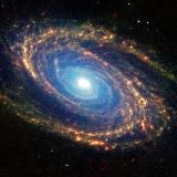 Atlas Cinema || Кіно, Фільми кожного дня