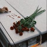 волны на песчаном пляже