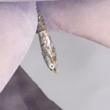 Чат имени Д. Столярова