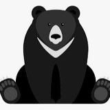 BBB-Black Bear Bet СТАВКИ НА СПОРТ|ПРОГНОЗЫ