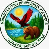 МИНПРИРОДЫ ЗАБАЙКАЛЬЯ