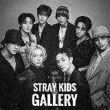 STRAY KIDS || GALLERY