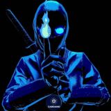 CRYPTO NINJA GEM100X