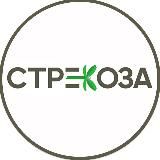 Стрекоза | Оптово-Розничный Центр