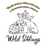 Wild Siblings