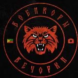 Военкоры вечОРКИ