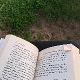 flow от Нури 📚🦕