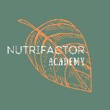 Nutrifactor Academy - Биохимия Здоровья