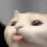 Предпросмотр Gif приватки