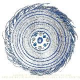 ACTIVACION DE LA CONSCIENCIA DEL HUMANO LUZ.