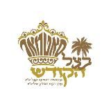 🌴 בצל הקודש סאטמאר 🌴