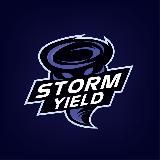 StormYield.Finance Portal