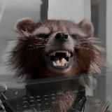 HOBBY COON · подарки / настолки / комиксы в Находке