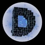 🔝 DiversiCrypto [ES] 🔝