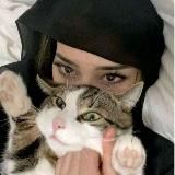 хочу