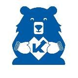 Штаб общественной поддержки "Единой России" в Курганской области